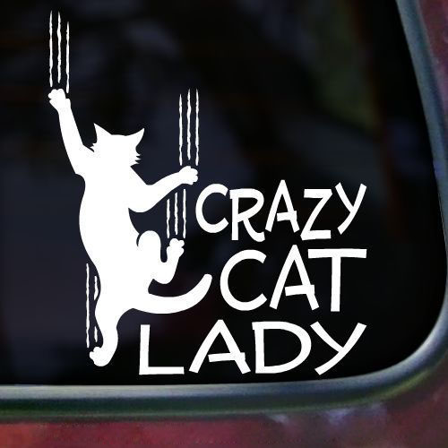  Crazy cat lady
