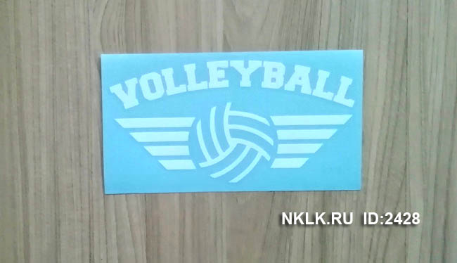 -  Volleyball -  -   82 .