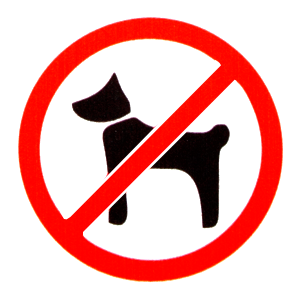 Наклейка С собаками запрещено