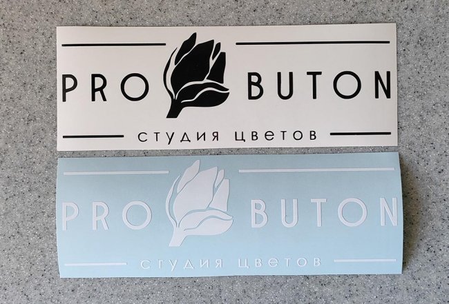   PRO BUTON logo -   110 .
