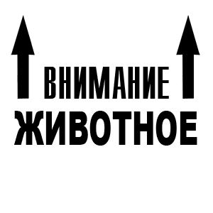 �������� �������� ��������