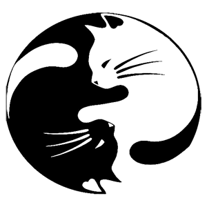          -   133 .