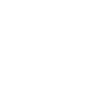          -   133 .