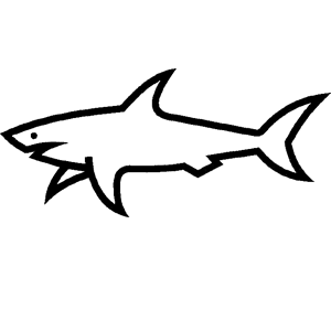    -   52 .