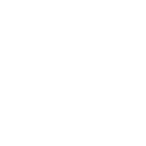    -   101 .