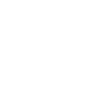        -   81 .