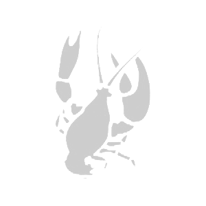       -   80 .