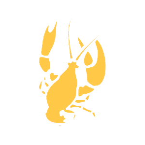       -   80 .