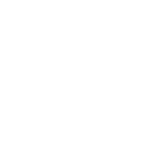         -   133 .