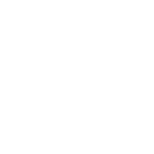    -   133 .