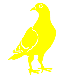       -   61 .