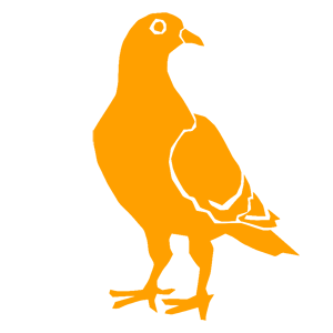    -   61 .