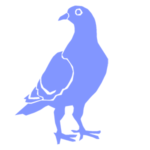      -   61 .
