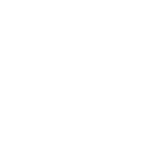        -   81 .