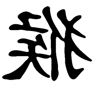        -   81 .