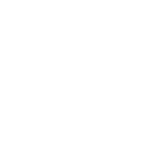      MotorLab -   82 .