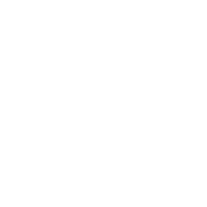      -   133 .