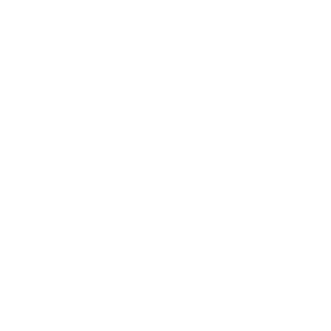  Honda Love