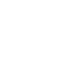      Honda Love -   98 .