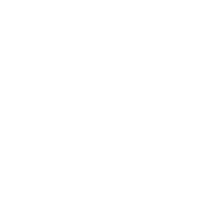   BMW   -   73 .