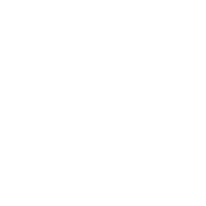      BMW   -   73 .