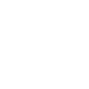   Chevrolet logo -   78 .