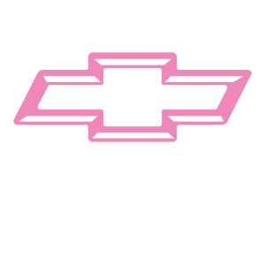   Chevrolet logo -   27 .