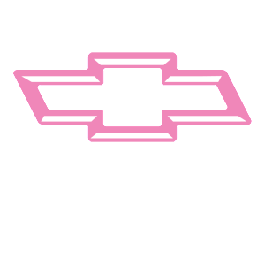      Chevrolet logo -   27 .