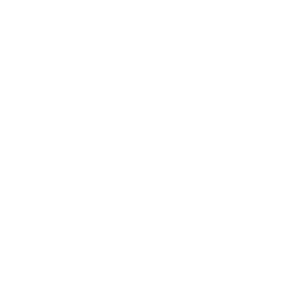      Chevrolet logo -   27 .