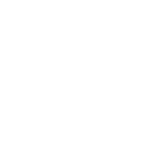      Jeep star -   133 .