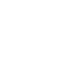      Chrysler SRT8 -   10 .