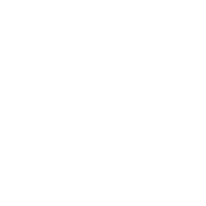      Chrysler Imported -   100 .