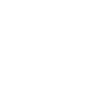 ����������� �� ����������� ����� �������� ��������������� ��� - ������ �� 133 ���.