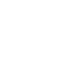        -   106 .