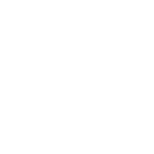      Fiat -   21 .