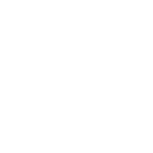      Fiat -   67 .