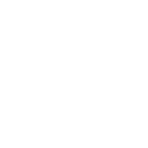   Fiat logo -   67 .