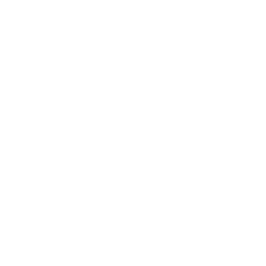      Fiat logo -   67 .