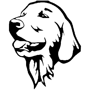       -   141 .