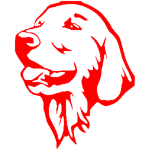       -   141 .