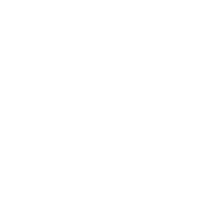  Skoda mafia