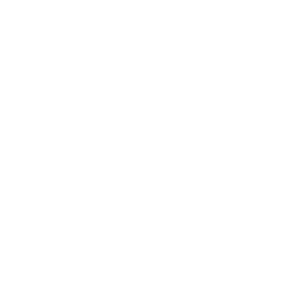      Renault Duster -   98 .