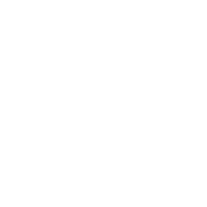      Fiat 500 -   47 .