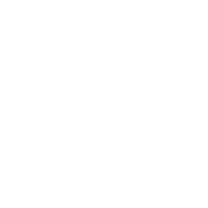      KIA Sportage -   94 .