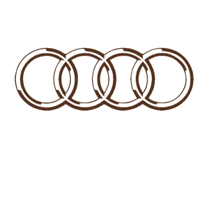  Audi logo