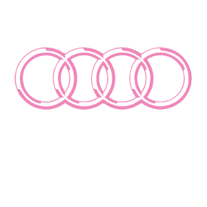  Audi logo
