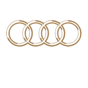  Audi logo