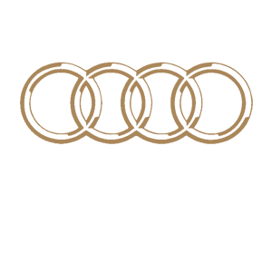    -  Audi logo -   42 .