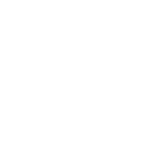      Audi logo -   42 .