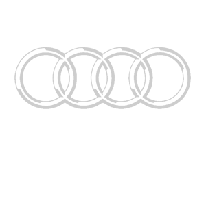  Audi logo